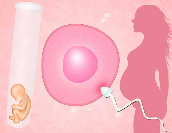代怀产子到哪里找-试管代生报价,试管婴儿每代的费用多少钱_试管婴儿一代流程